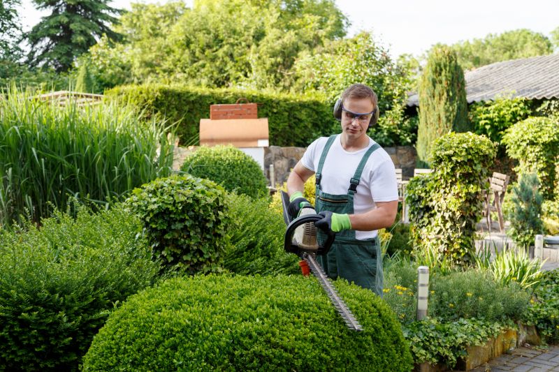Local Herb Trimming pros at work